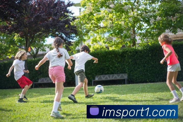 IM足球体育平台生态图