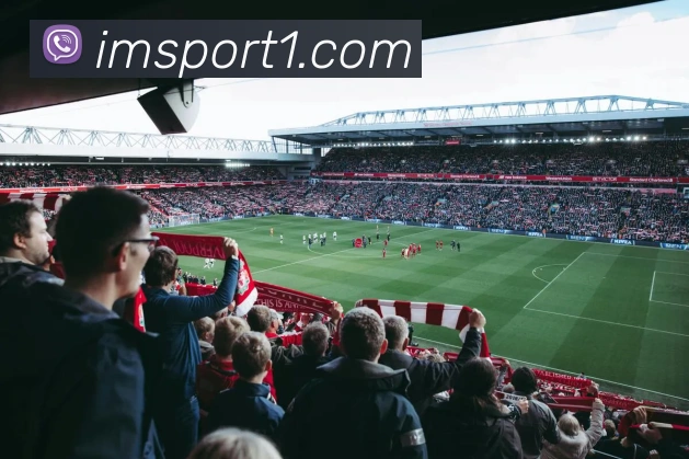 IM足球体育全站App