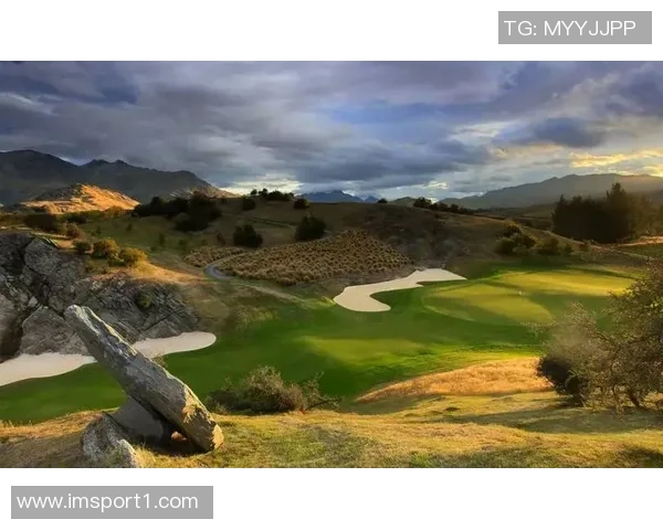 特纳谈锦标赛球场感受称其比黄色场地更让人舒适